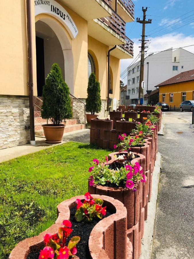 Pensiune Restaurant Indus Ocna Sibiului Εξωτερικό φωτογραφία